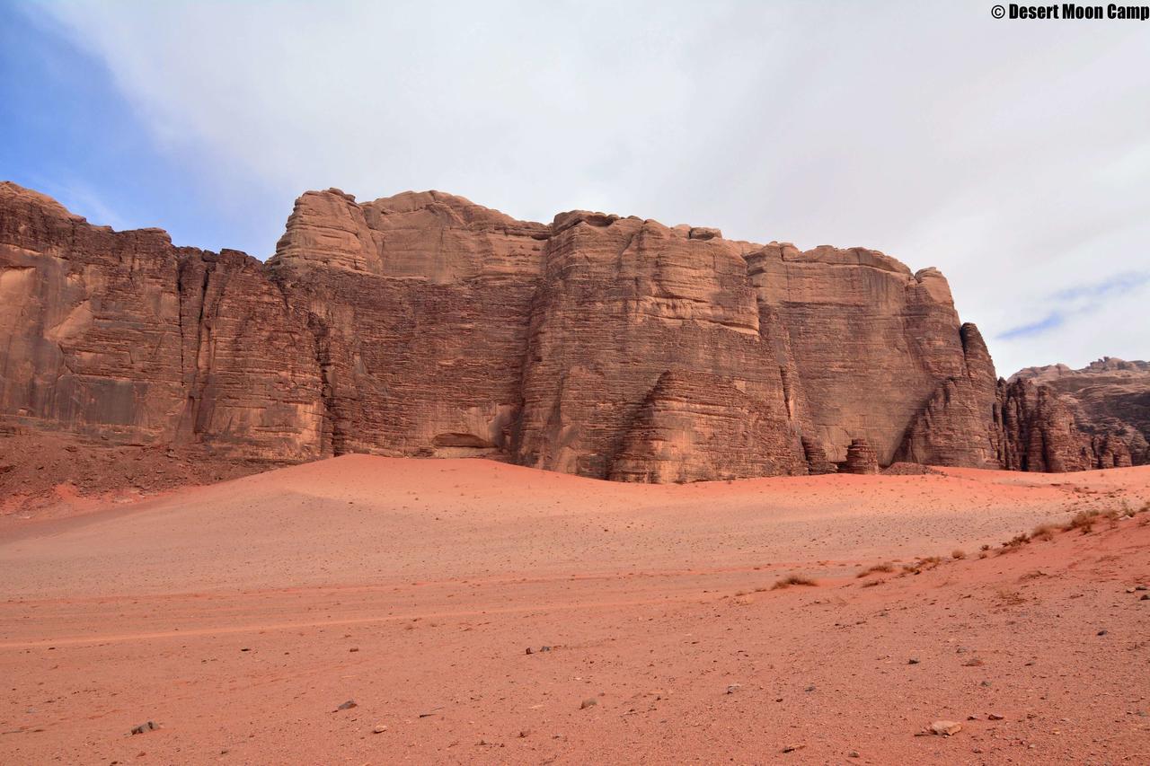 Desert Moon Camp Wadi Rum Eksteriør billede