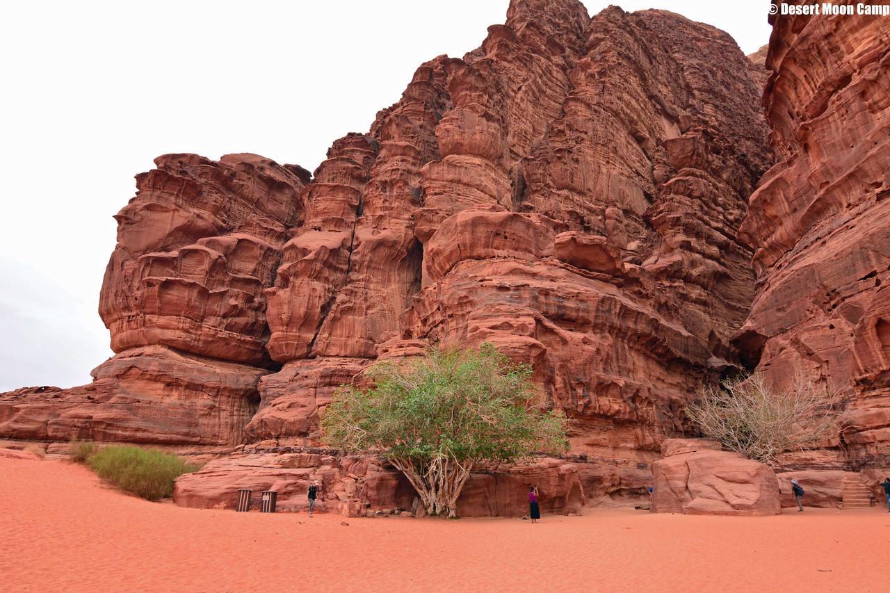 Desert Moon Camp Wadi Rum Eksteriør billede