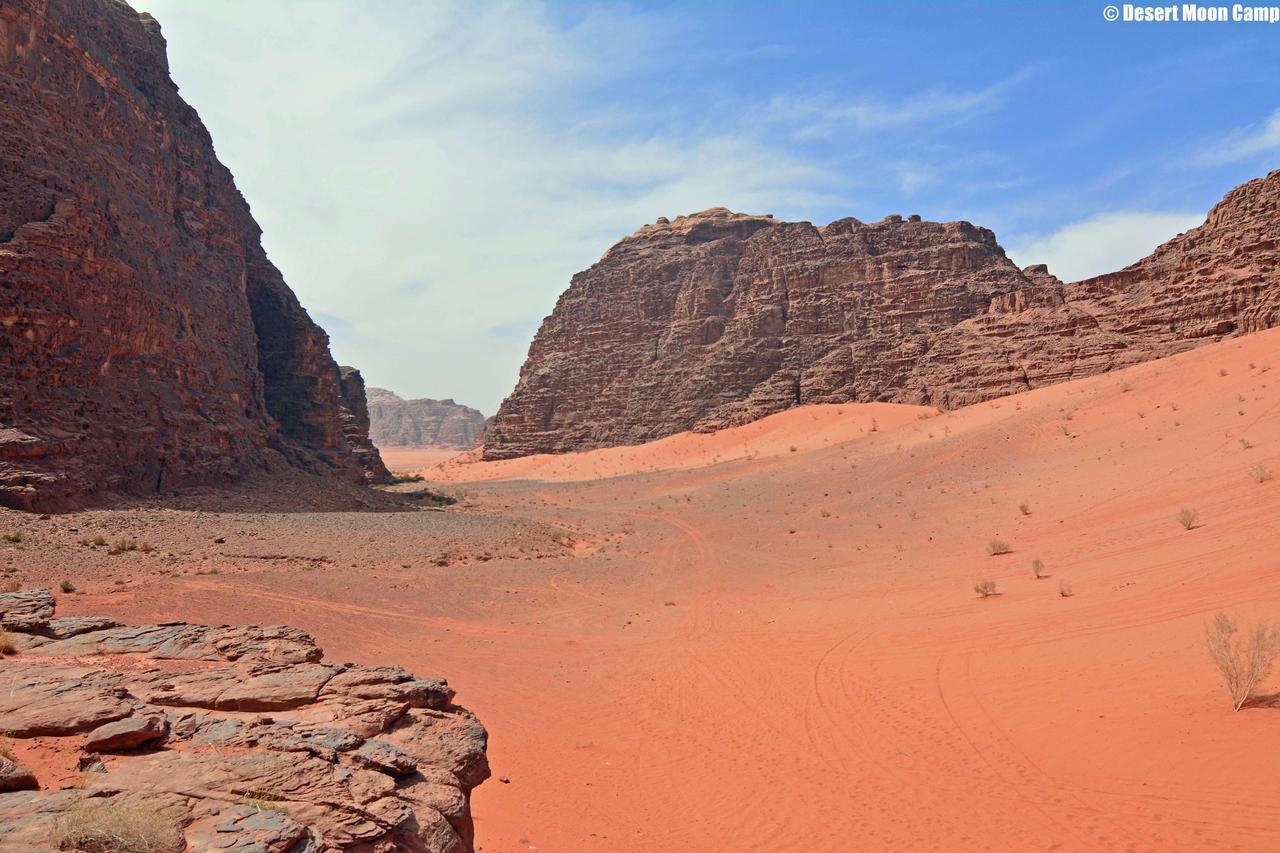 Desert Moon Camp Wadi Rum Eksteriør billede